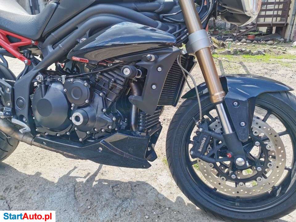 Triumph Speed Triple – Bydgoszcz – Kujawsko-pomorskie