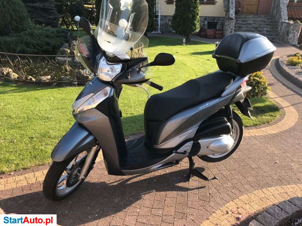 Honda SH – Nowa Cerkiew – Pomorskie