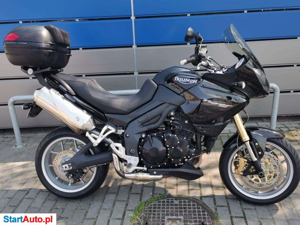 Triumph Tiger – Środa Wielkopolska – Wielkopolskie