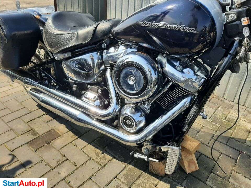 Harley-Davidson Softail – Ryki – Lubelskie