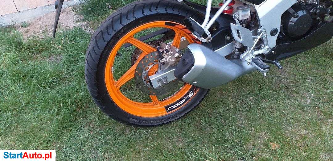 Honda CBR – Śrem – Wielkopolskie