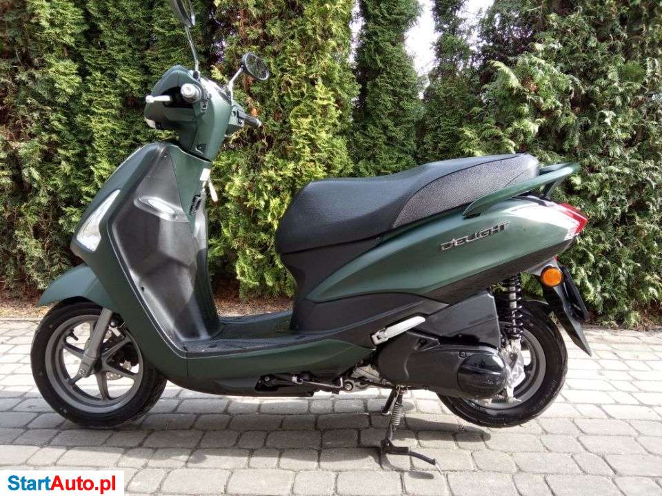 Yamaha D’elight – Ryki – Lubelskie