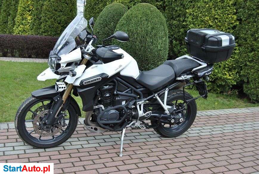 Triumph Tiger – Dąbrowa Tarnowska – Małopolskie