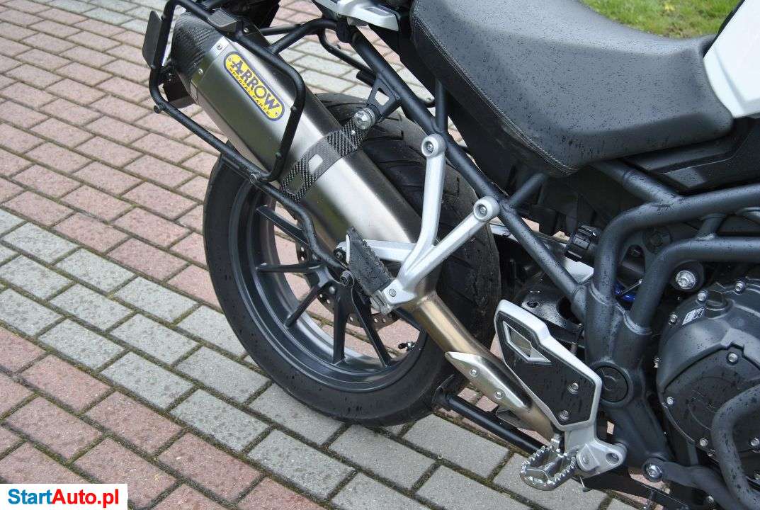 Triumph Tiger – Dąbrowa Tarnowska – Małopolskie