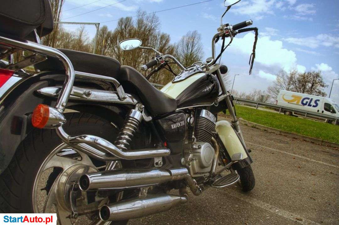 Zipp Raven – Sosnowiec – Śląskie