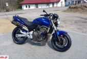 Honda Hornet – Iława – Warmińsko-mazurskie