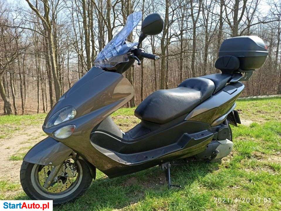 Yamaha Majesty – Gdynia – Pomorskie