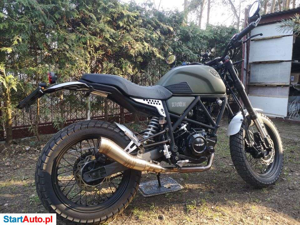 Zipp – Płock – Mazowieckie