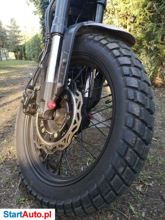 Zipp – Płock – Mazowieckie