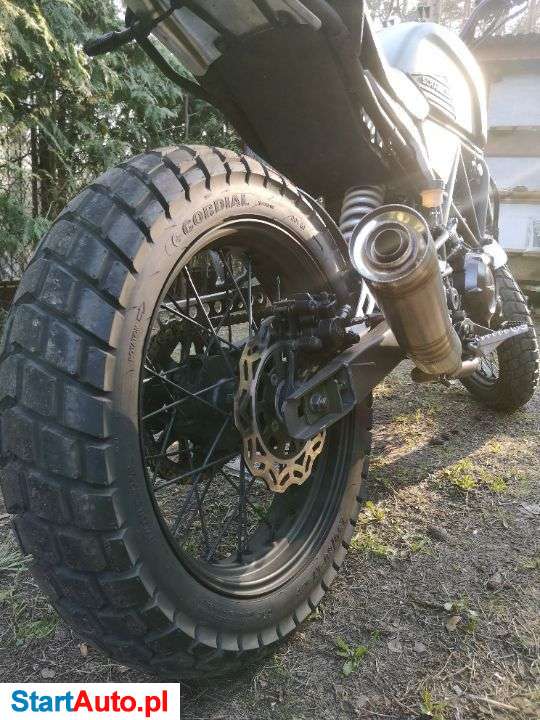 Zipp – Płock – Mazowieckie