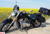 Honda Shadow – Oborniki Śląskie – Dolnośląskie