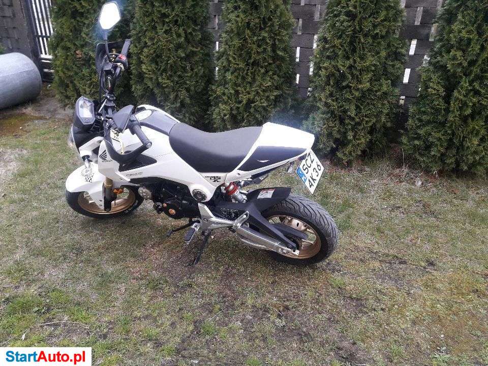 Honda MSX 125 – Luborcza – Śląskie