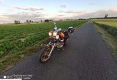 Yamaha Virago – Gniezno – Wielkopolskie