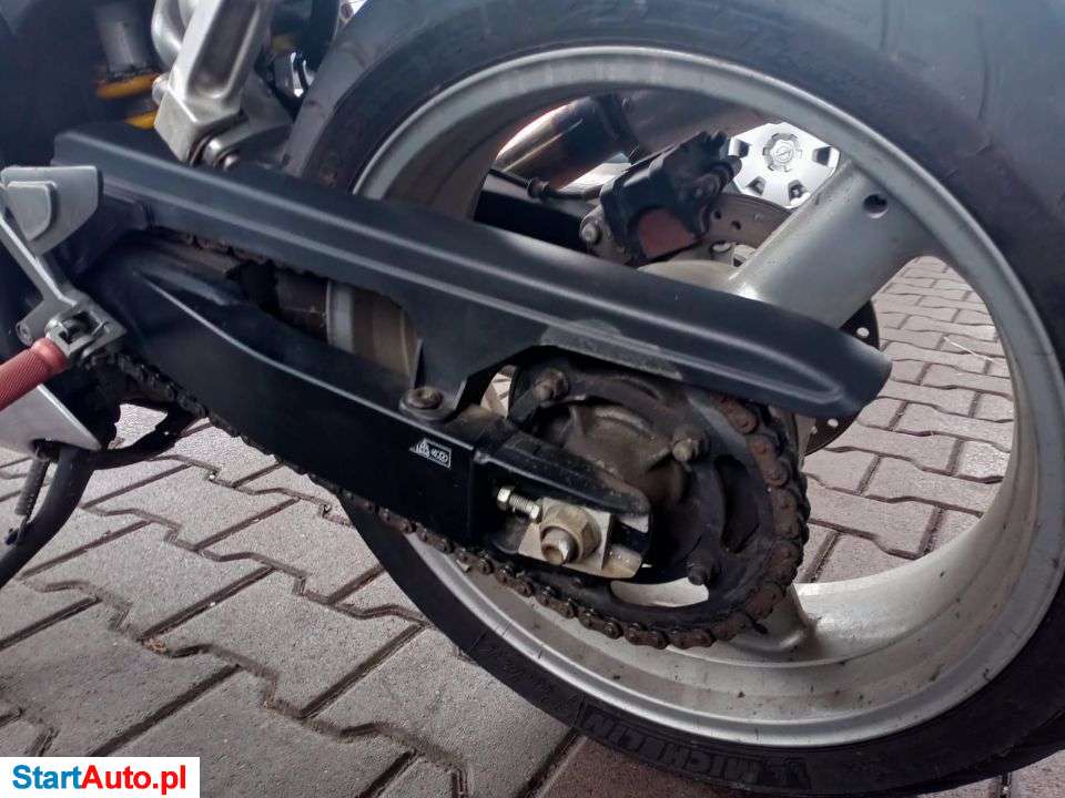 Triumph TT – Ługi Ujskie – Wielkopolskie