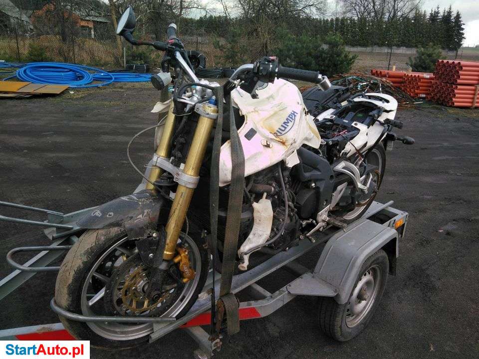 Triumph Tiger – Pleszew – Wielkopolskie