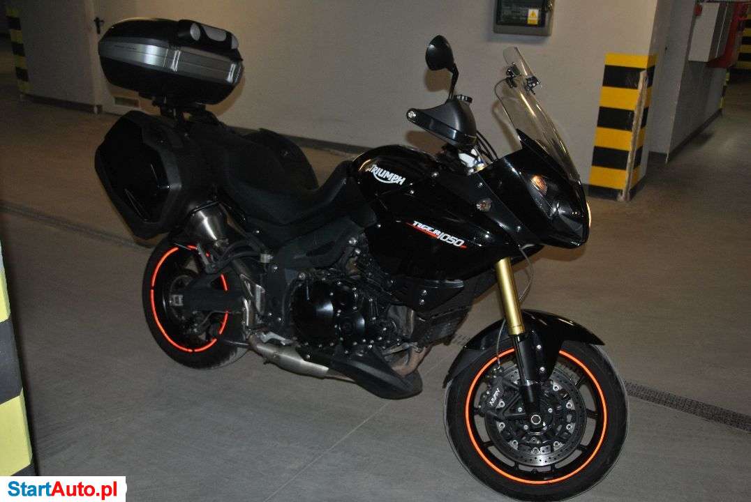 Triumph Tiger – Gdańsk – Pomorskie