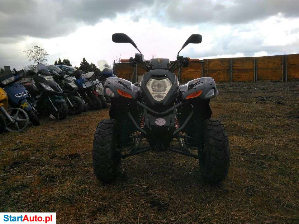 Adly CAT – Poznań – Wielkopolskie