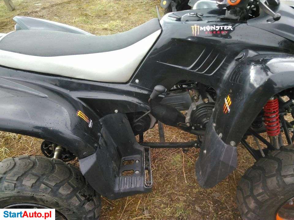 Adly CAT – Poznań – Wielkopolskie