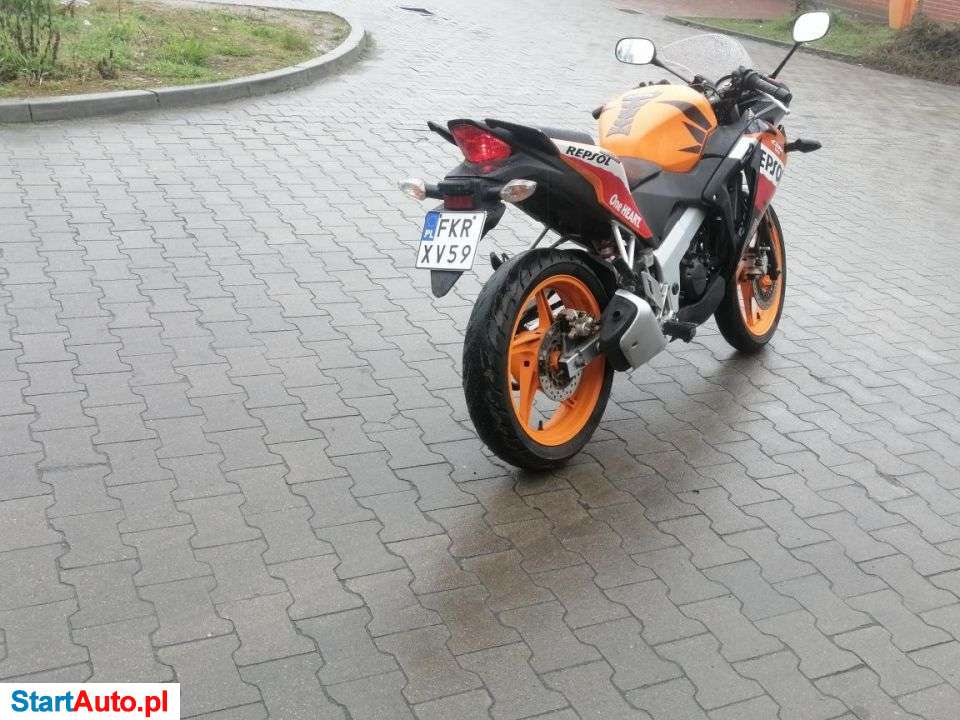 Honda CBR – Krosno Odrzańskie – Lubuskie