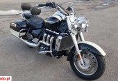 Triumph Tiger – Końskie – Świętokrzyskie