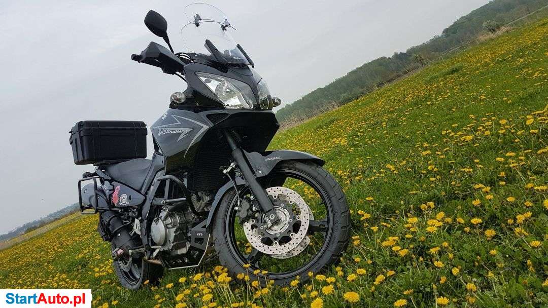 Suzuki DL – Kraśnik – Lubelskie