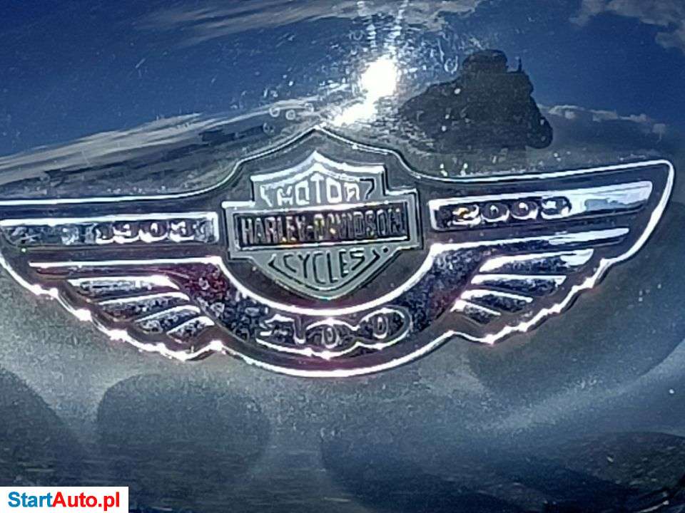 Harley-Davidson Softail – Przysiek – Kujawsko-pomorskie
