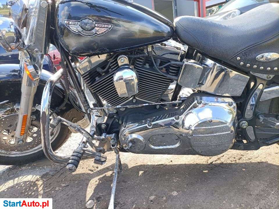 Harley-Davidson Softail – Przysiek – Kujawsko-pomorskie