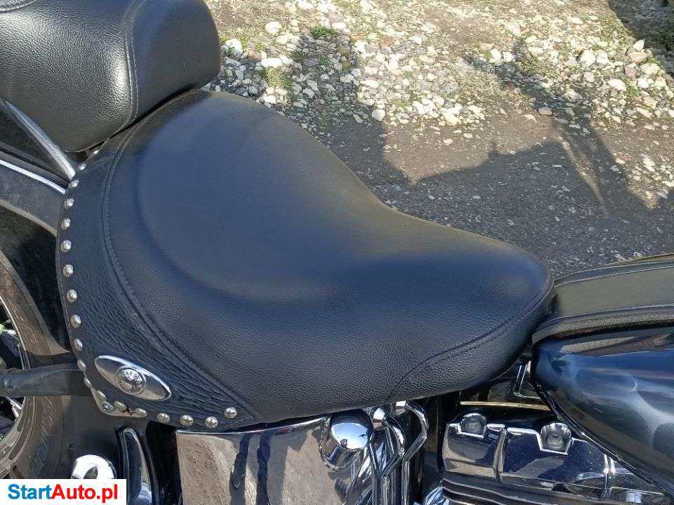 Harley-Davidson Softail – Przysiek – Kujawsko-pomorskie