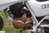 Honda NX – Izabelmont – Lubelskie