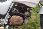 Honda NX – Izabelmont – Lubelskie