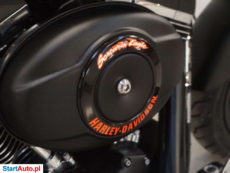 Harley-Davidson Fat Boy – Ostrzeszów – Wielkopolskie