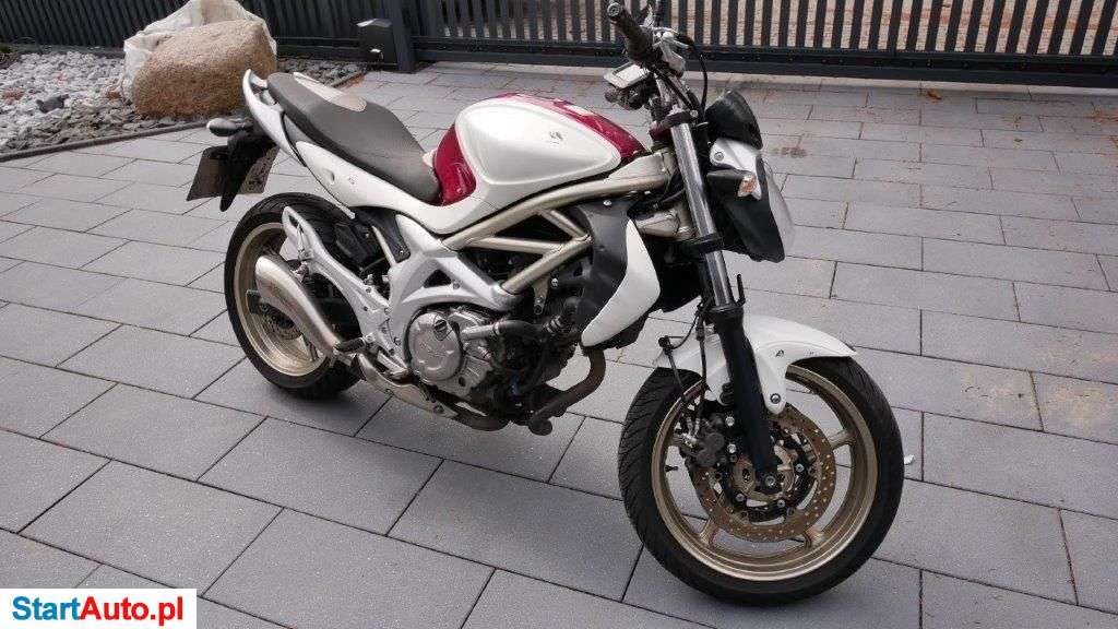 Suzuki Gladius – Słubice – Lubuskie