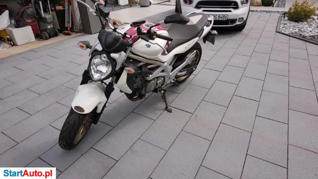 Suzuki Gladius – Słubice – Lubuskie