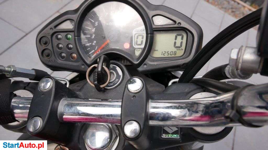 Suzuki Gladius – Słubice – Lubuskie