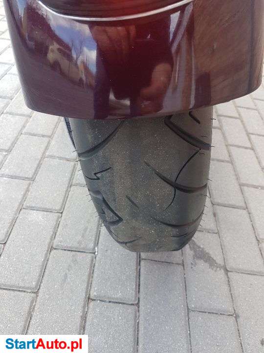 Harley-Davidson Dyna Street Bob – Poznań – Wielkopolskie