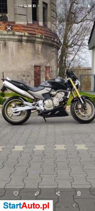 Honda Hornet – Białogard – Zachodniopomorskie