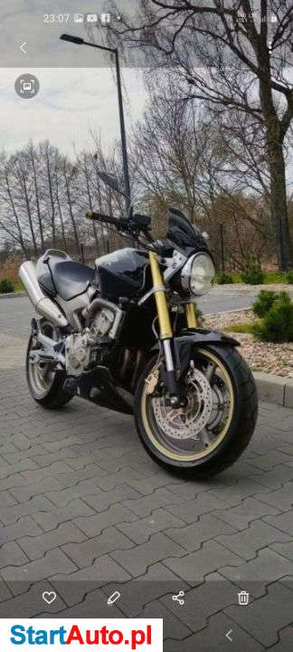 Honda Hornet – Białogard – Zachodniopomorskie