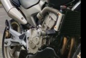 Honda Hornet – Białogard – Zachodniopomorskie