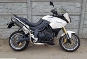 Triumph Tiger – Kielce – Świętokrzyskie
