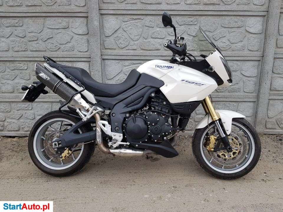 Triumph Tiger – Kielce – Świętokrzyskie