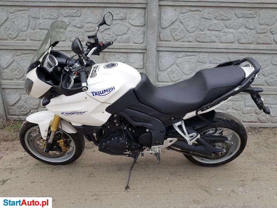 Triumph Tiger – Kielce – Świętokrzyskie