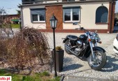 Honda Shadow – Dąbrowa – Wielkopolskie