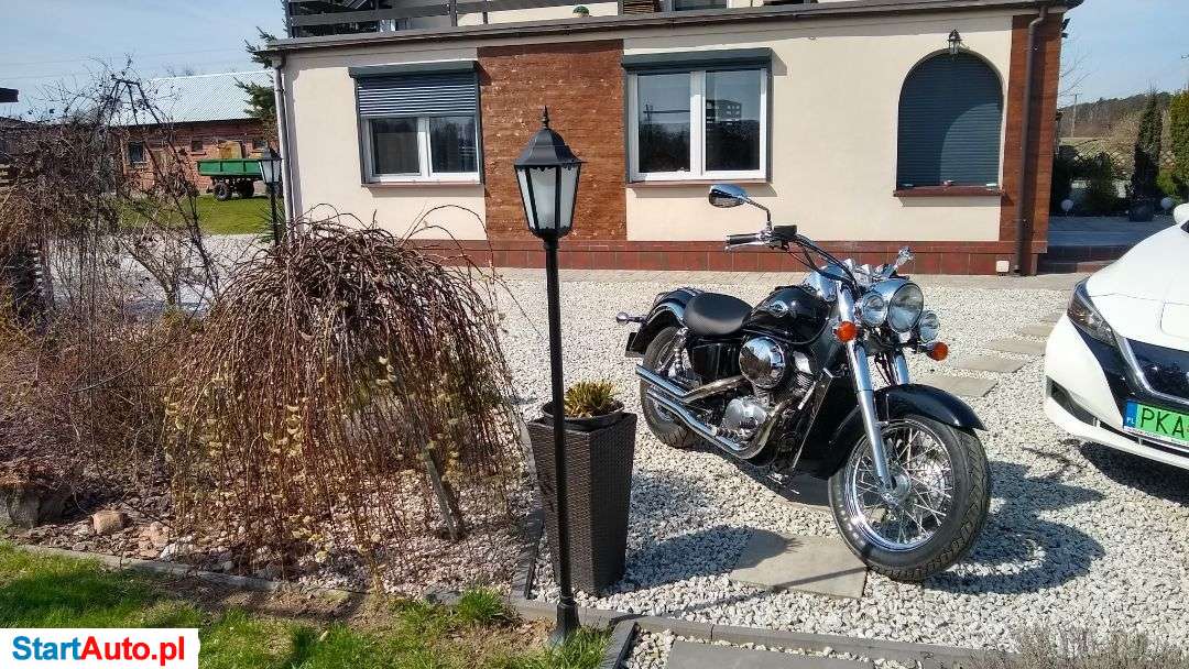 Honda Shadow – Dąbrowa – Wielkopolskie