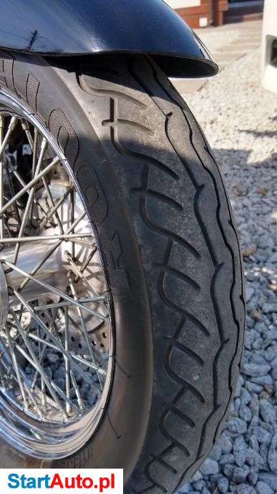 Honda Shadow – Dąbrowa – Wielkopolskie