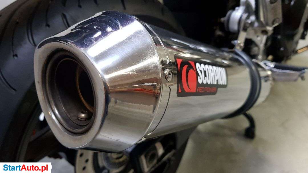 Suzuki Bandit – Poznań – Wielkopolskie