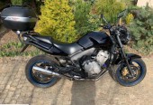 Honda CBF – Lubniewice – Lubuskie