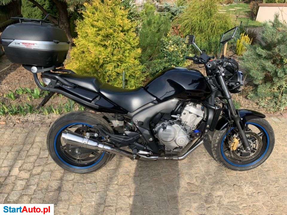 Honda CBF – Lubniewice – Lubuskie