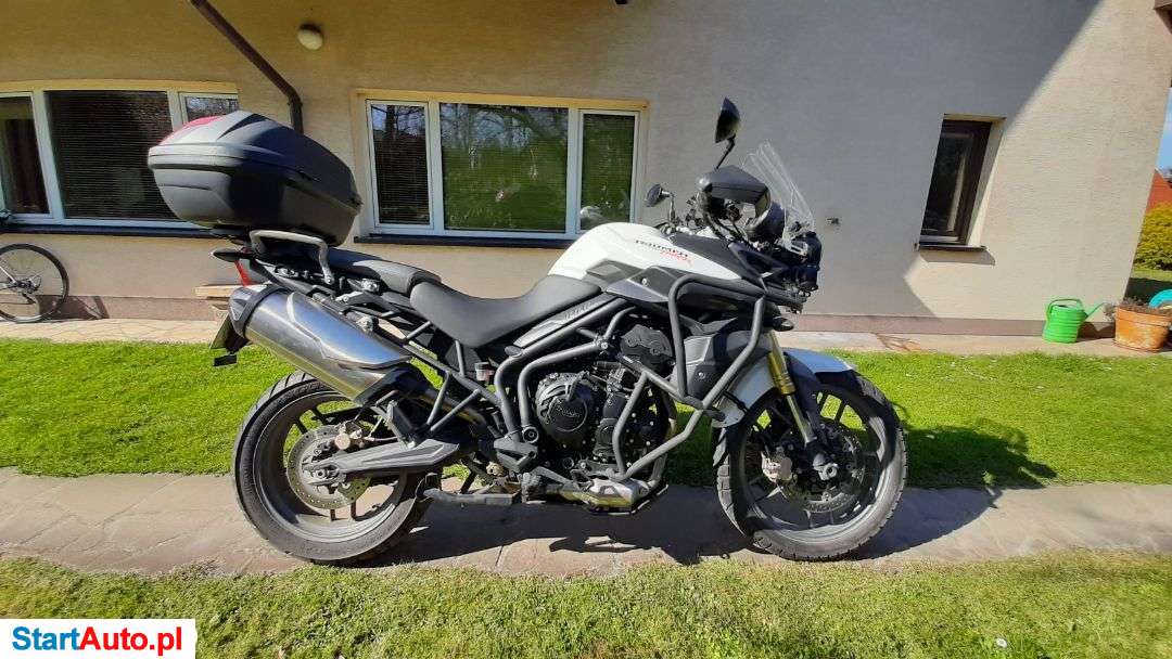 Triumph Tiger – Staniątki – Małopolskie