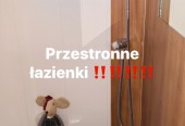 Kamper lux line Bydgoszcz wynajem