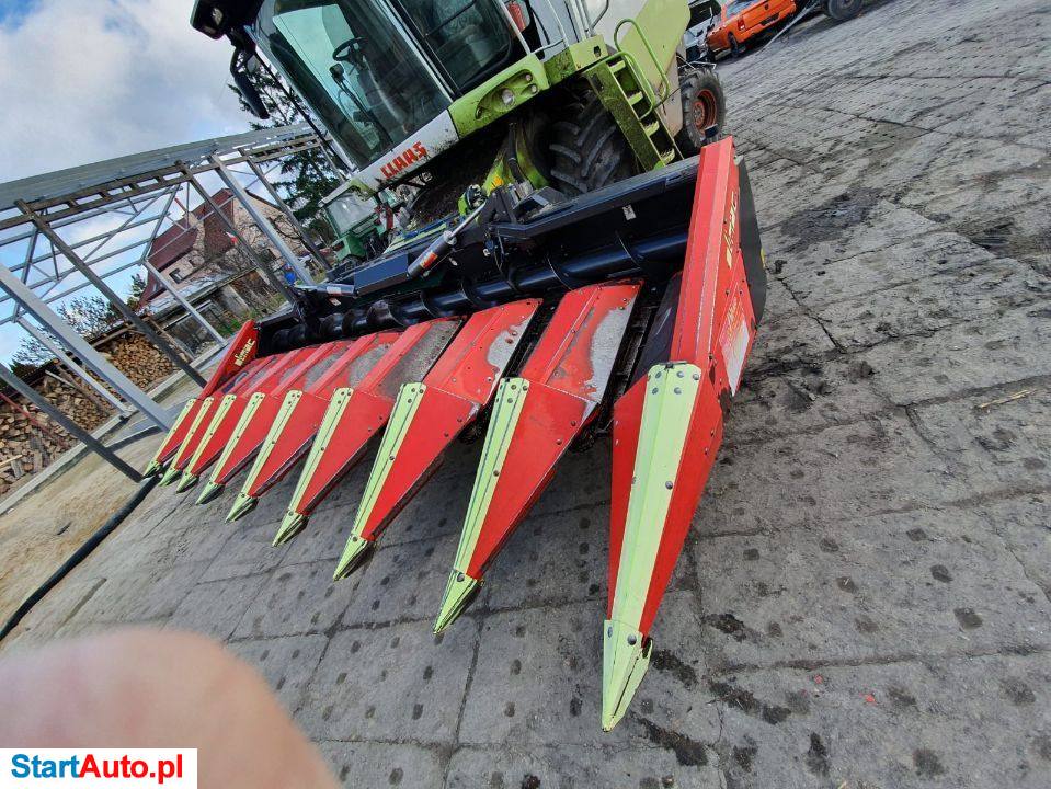 Olimac Drago 2012 Rok